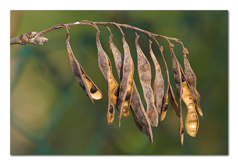 La differenza tra me e Albert