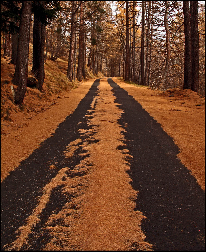 Segnaletica Naturale