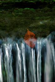 in bilico