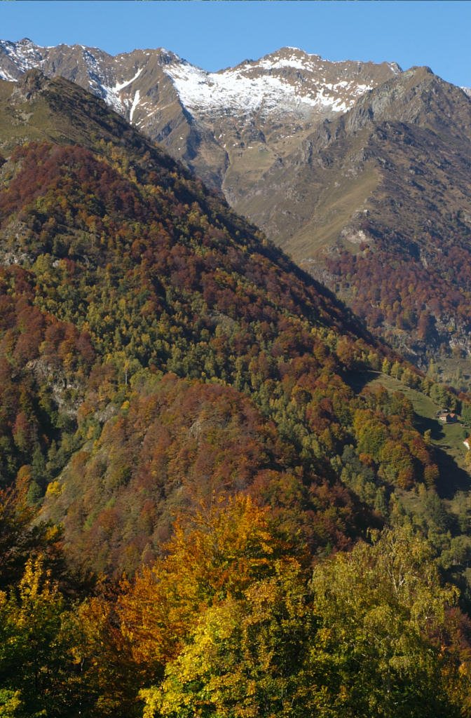 Val Mastallone - il Cardone (credo...)