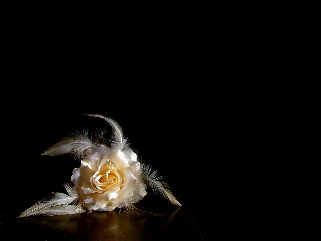 Dedicata a Deametaforica...