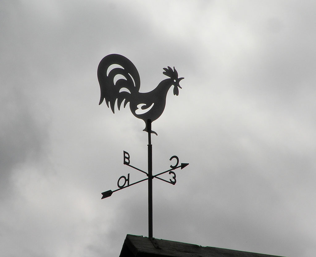 scopri cosa ho di strano