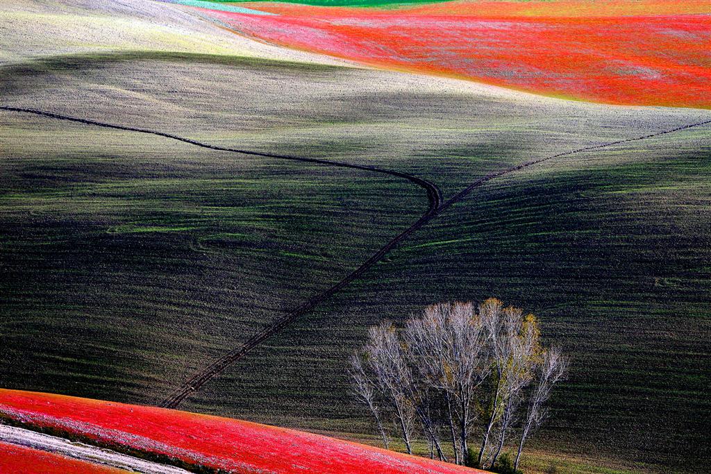 paesaggio fantastico