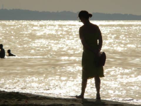 Riflessioni d'estate