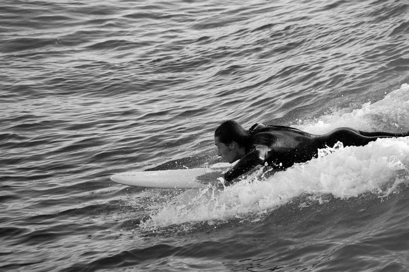 Prima di cavalcare l'onda