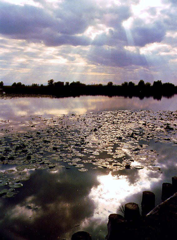 Raggi di luce su di noi