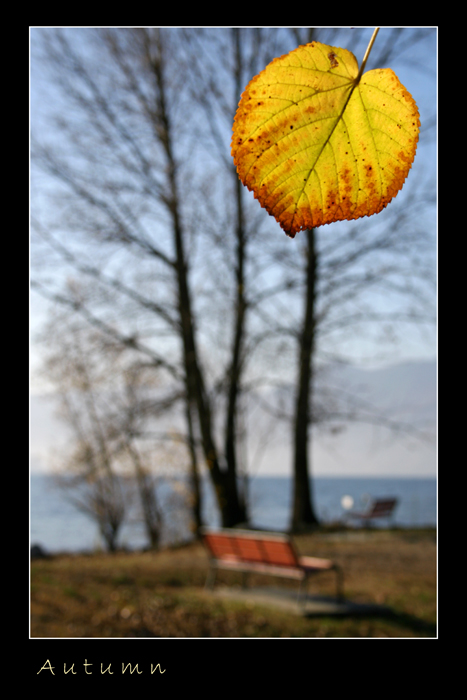 momenti d'autunno