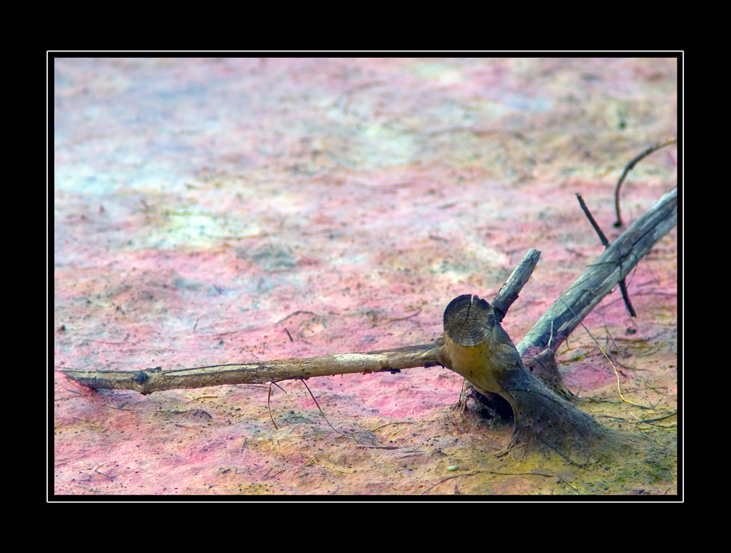 Arcobaleno sulla terra