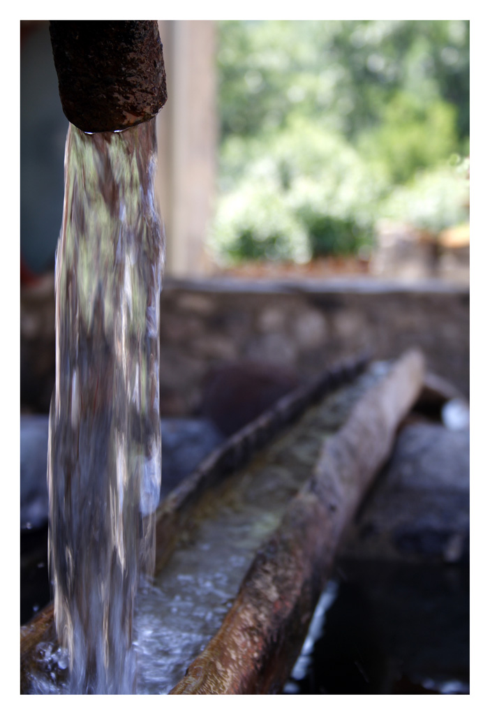 Tutto scorre come la vita