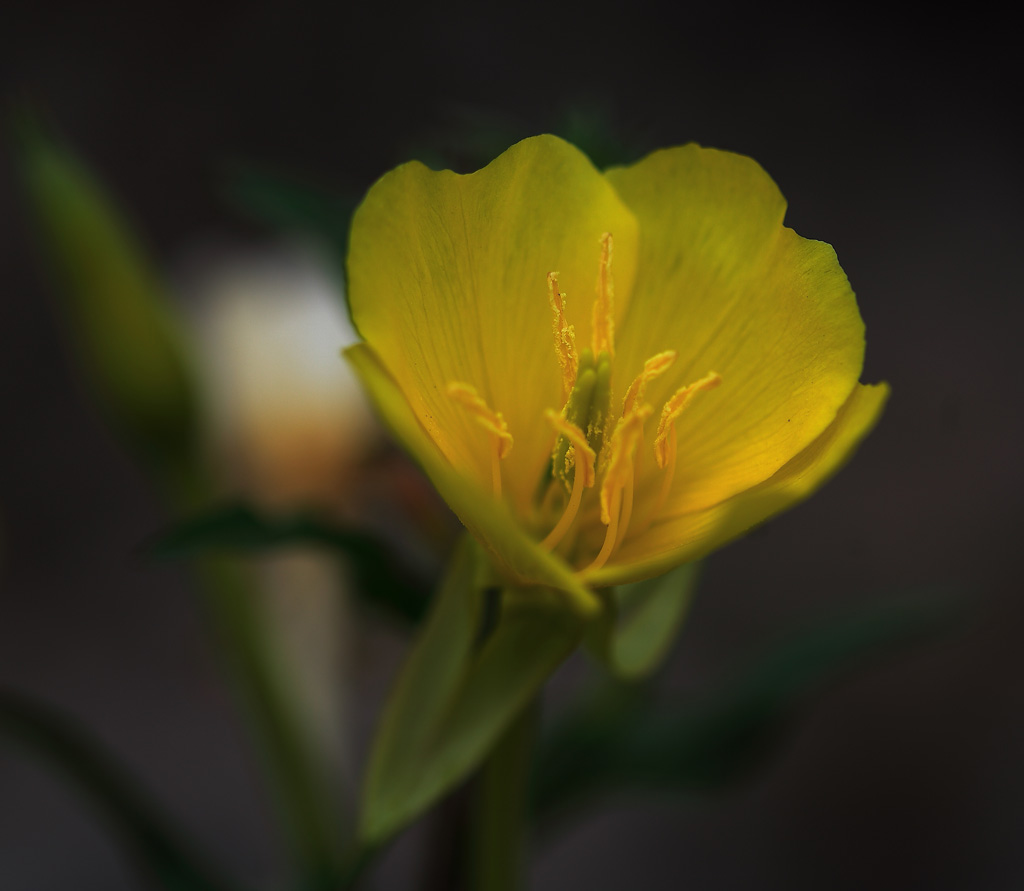 dedicata alla semplicit�