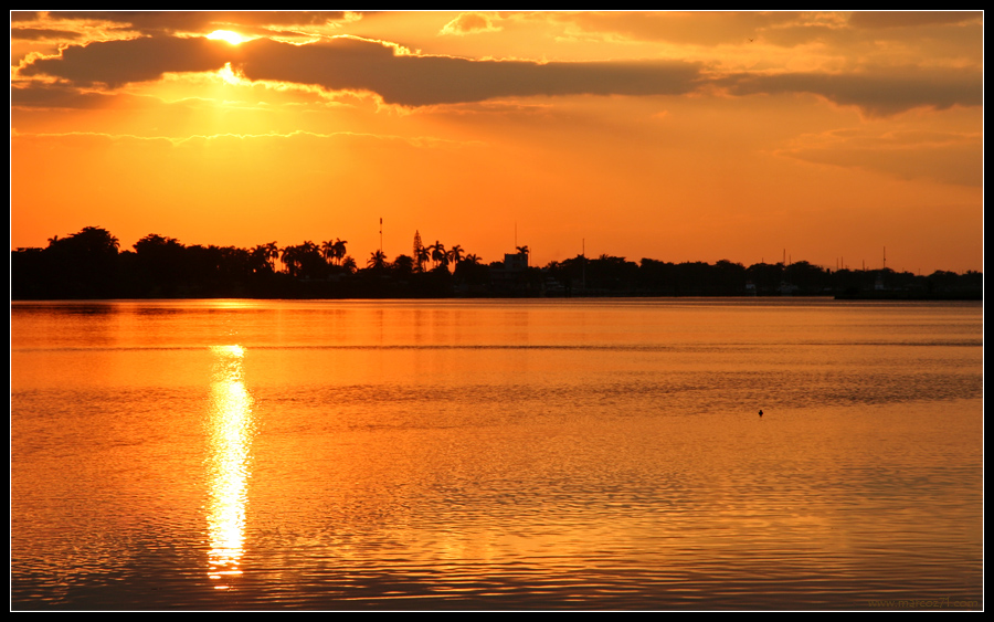cuba #5 giallo