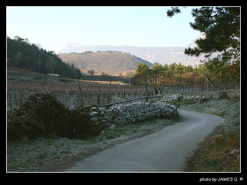 Stradina di campagna