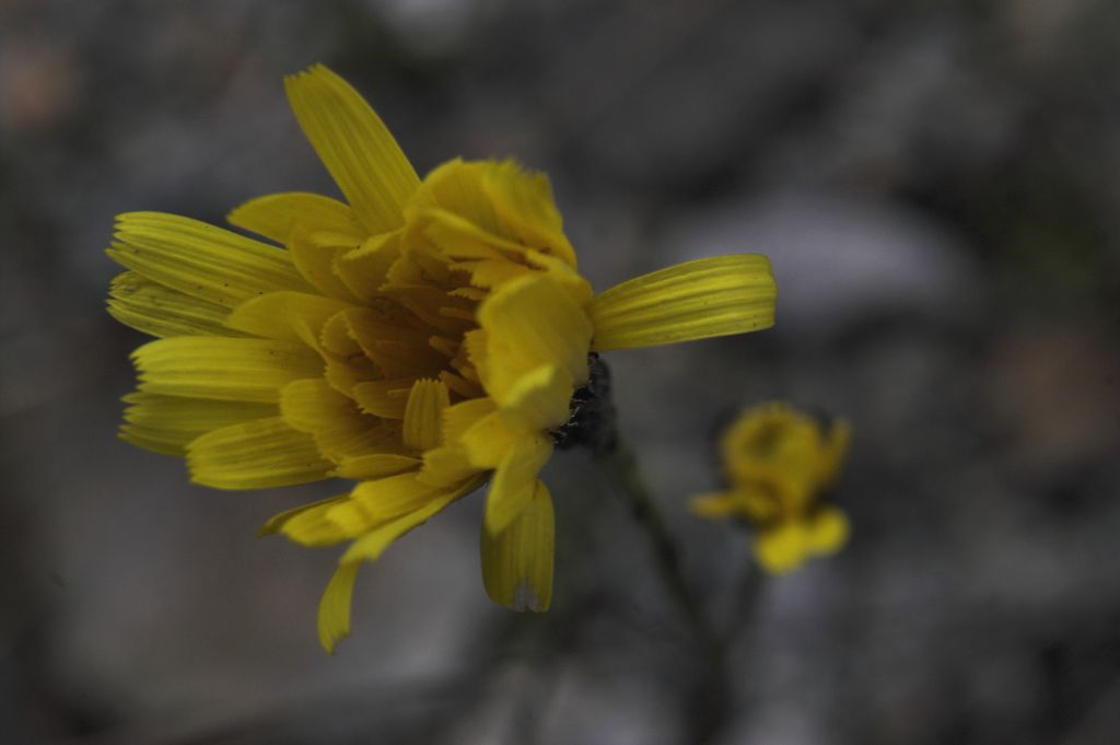 cosa bisogna fare per farsi notare