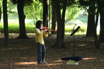 musica nel parco