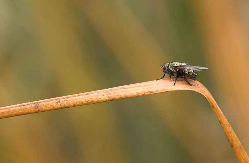 ammirando il panorama
