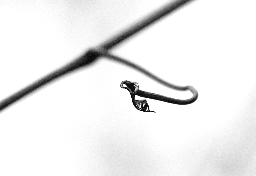 Cannot find the candle of thought to light your name