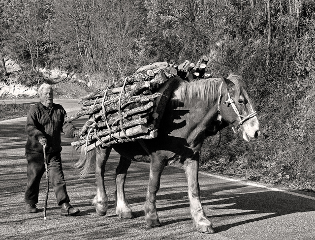 Trasporto tradizionale