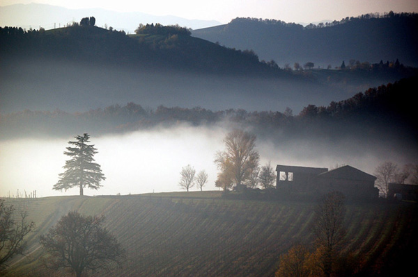 nebbia