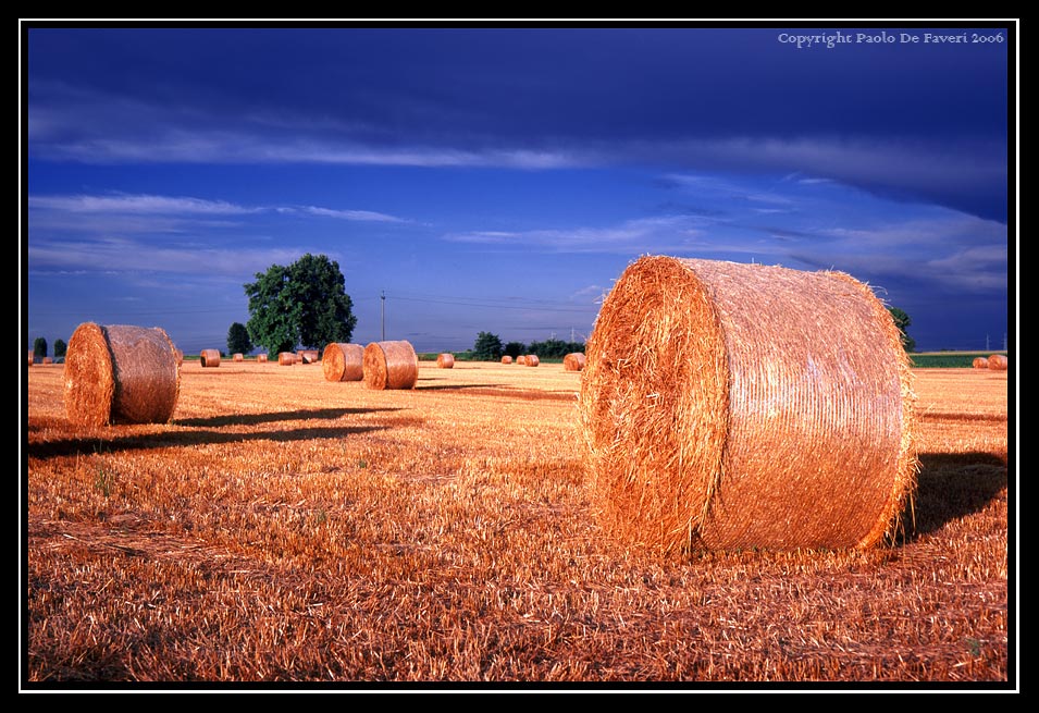 In attesa del temporale. Dintorni di Carignano, Torino