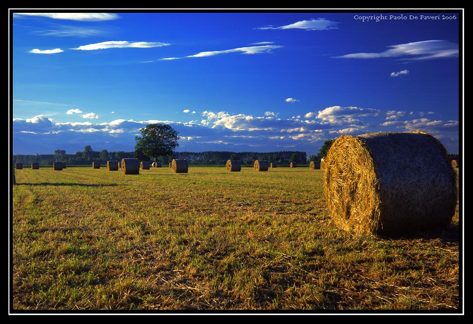 La campagna di Carignano, Torino. #2