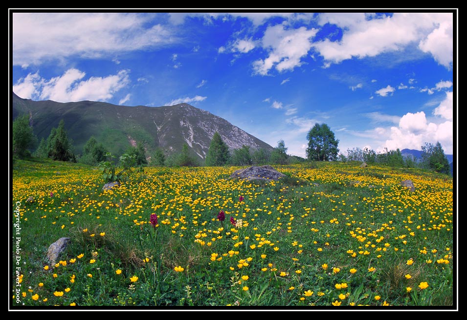 Palanfr�, Parco Naturale delle Alpi Marittime, Cuneo. #5