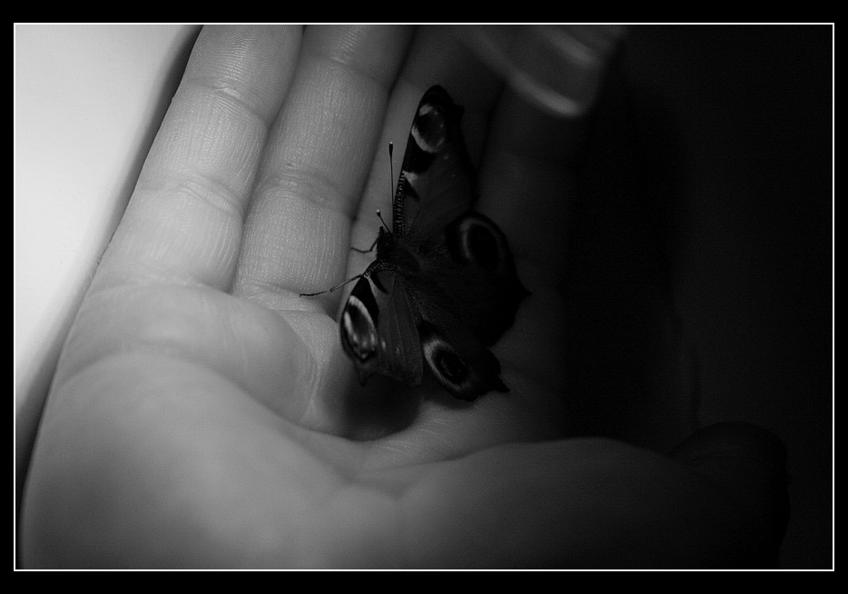 Tra luce ed oscurit�