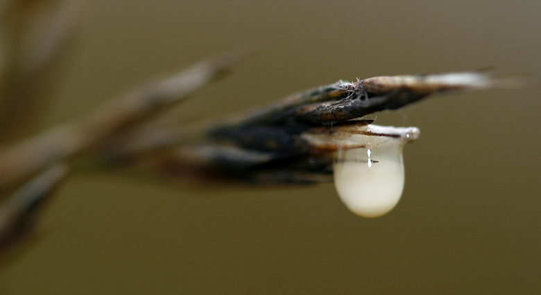 di chi � questo?..