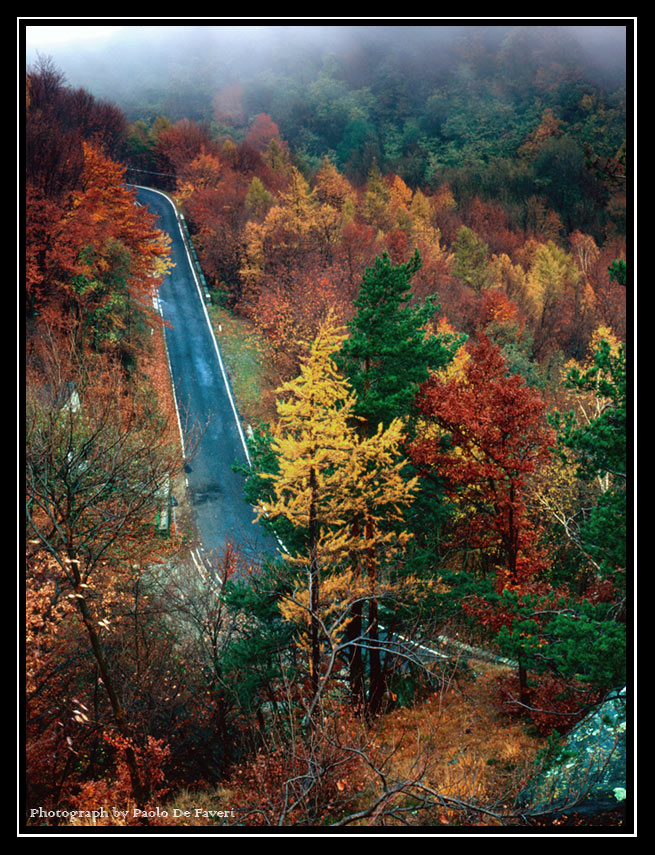 Autunno. La strada per la Sacra di San Michele, Avigliana, Torino.