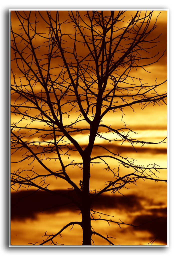 controluce al tramonto