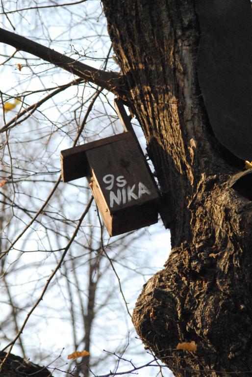 Appartemnto su albero