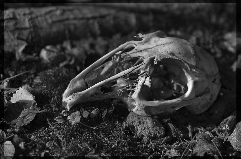 for god your soul, for me your flesh...