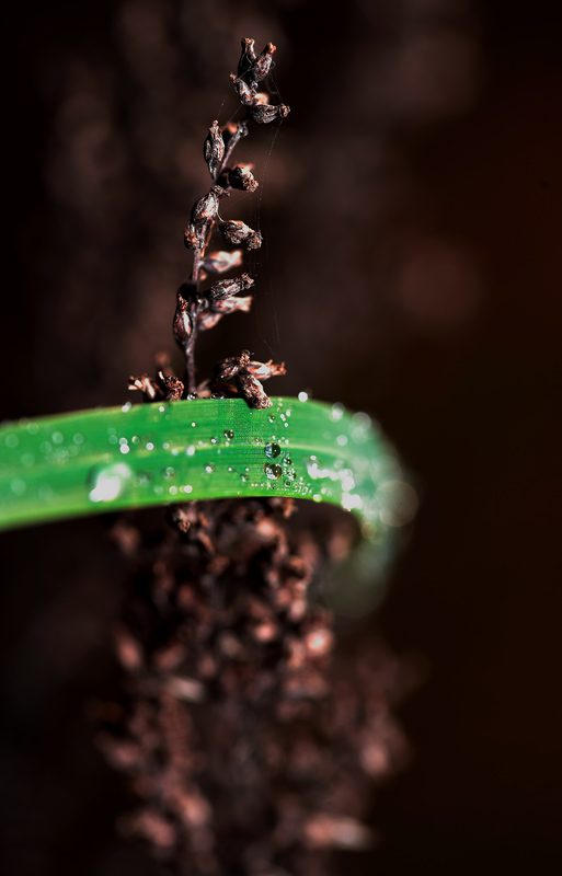 non ti lascio andar via...