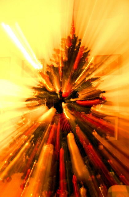 L'albero Magico (dedicata a Cius)