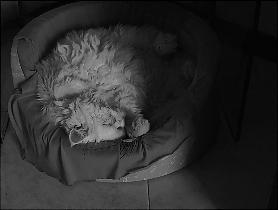 All'ombra dell'ultimo.......sonno