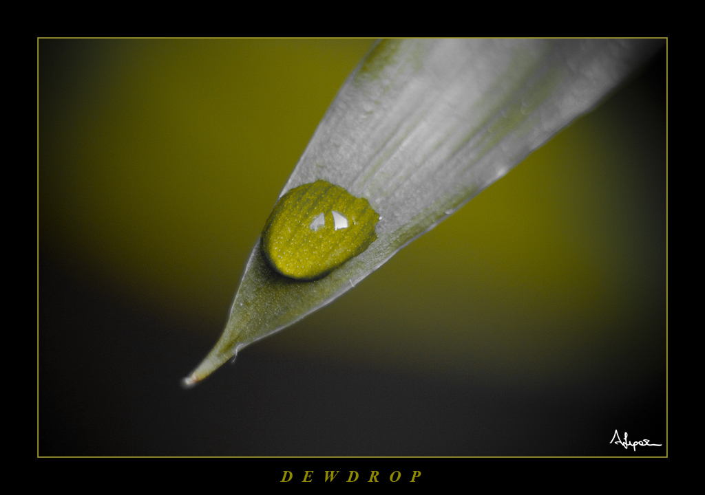 Oil drop.....