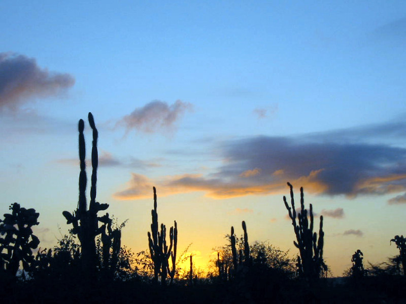 Galapagos (Nearn Charles Darwin Center) Sunset