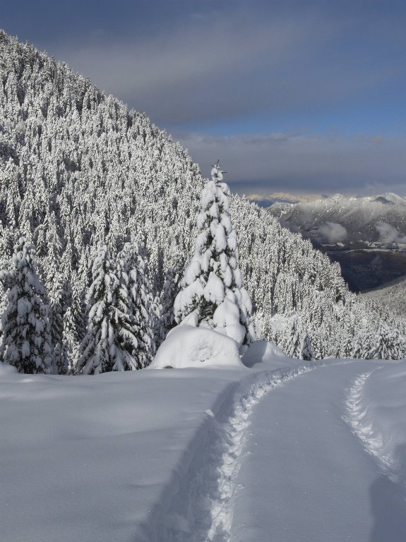 Adesso � Natale!!!!!