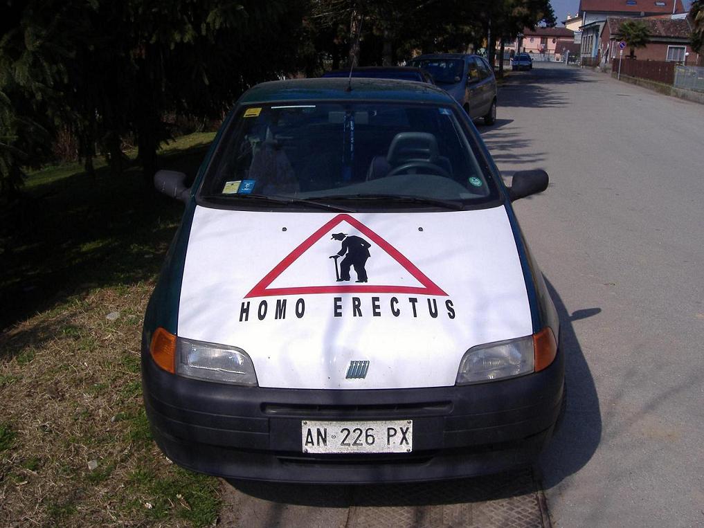 Homo Erectus mobile!!!