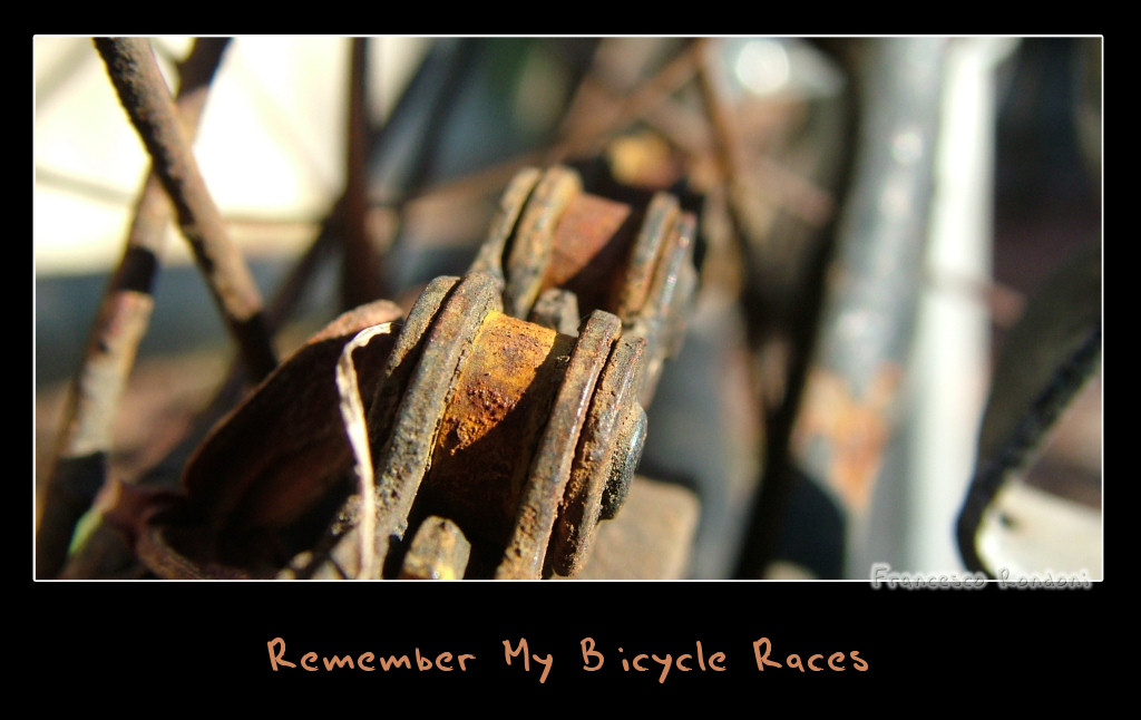 Remember My Bicycle Races