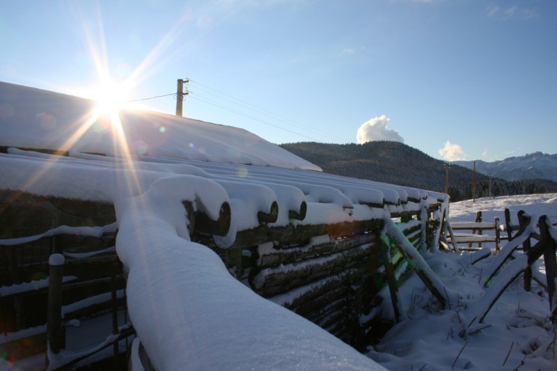La malga sotto la neve...