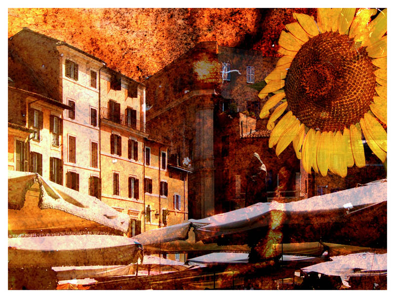 Un p� di campo dei fiori