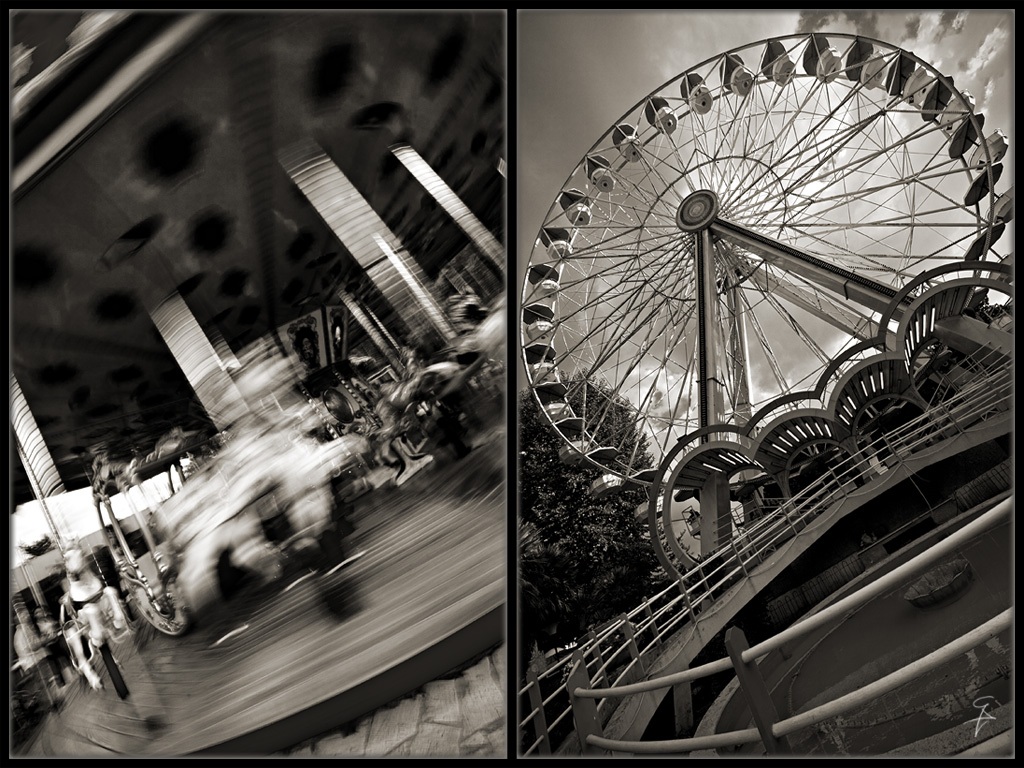 ellissi in solitudine