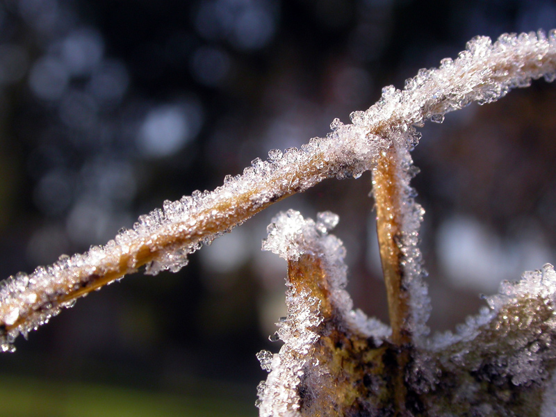 h.10 stamattina..brrrr che freddo