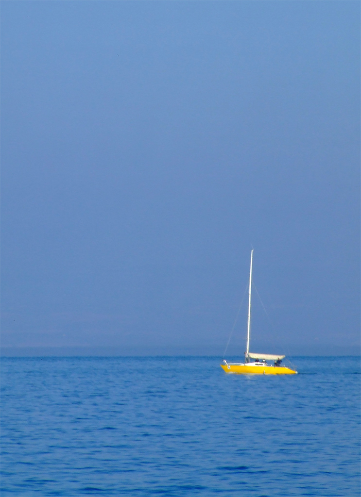 ���Yellow submarine���