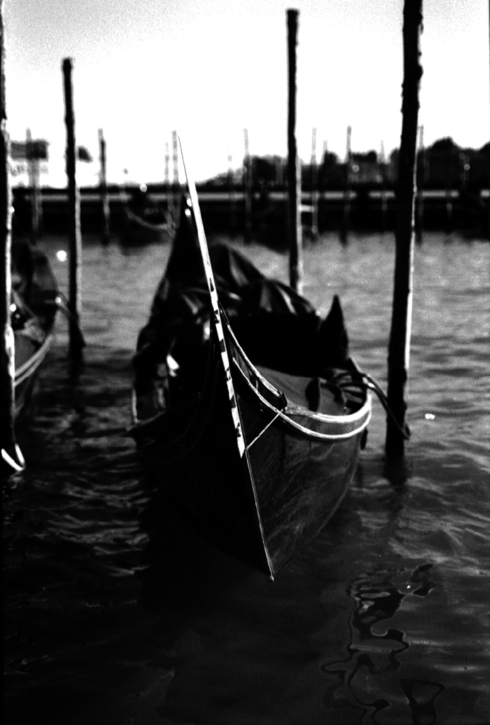 ...abbandonati in balia di...