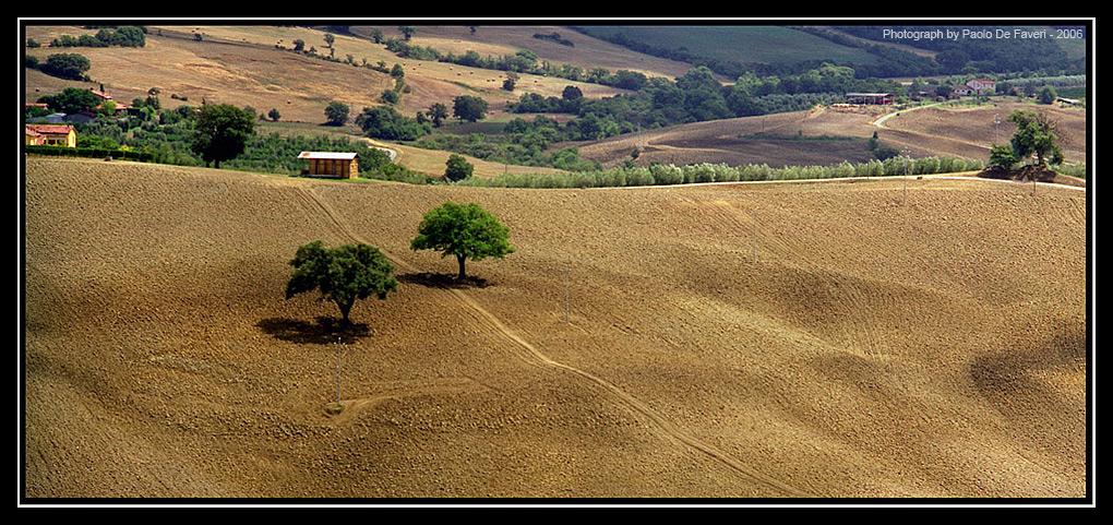 La campagna di Cinigiano, Grosseto