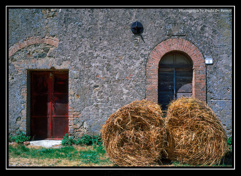 La campagna di Cinigiano, Grosseto #3