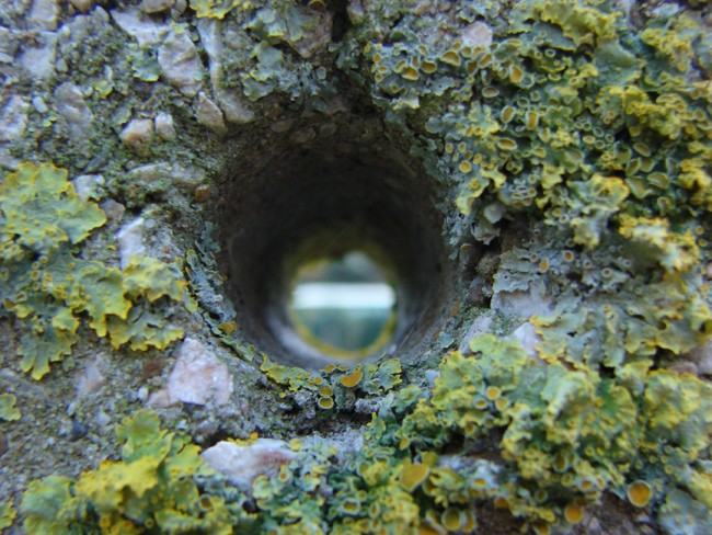 Buco con licheni intorno