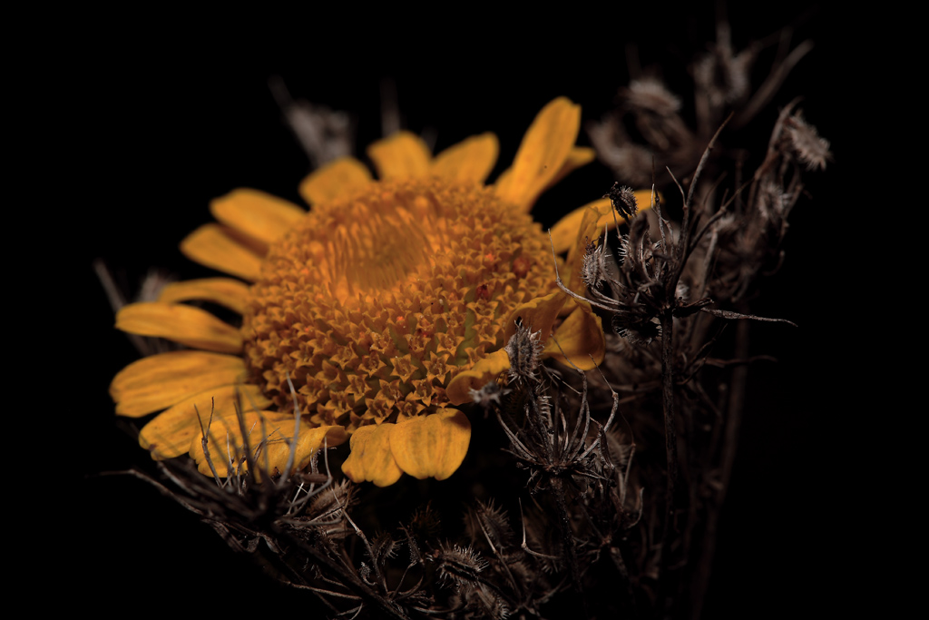 il buono e il cattivo