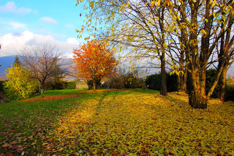 L'autunno e la gioia dei colori